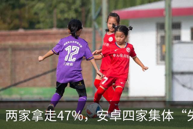 两家拿走47%，安卓四家集体“失血”：手机市场变成两个人的游戏