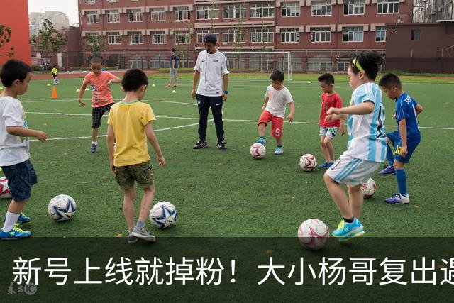 新号上线就掉粉！大小杨哥复出遇冷