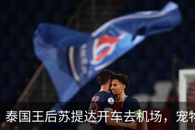 泰国王后苏提达开车去机场，宠物狗狗坐在副驾驶，像个贴心的旅伴