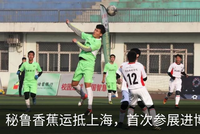秘鲁香蕉运抵上海，首次参展进博会