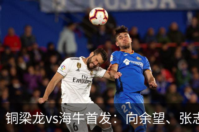 铜梁龙vs海牛首发：向余望、张志雄先发，叶博亚、埃朱玛出战