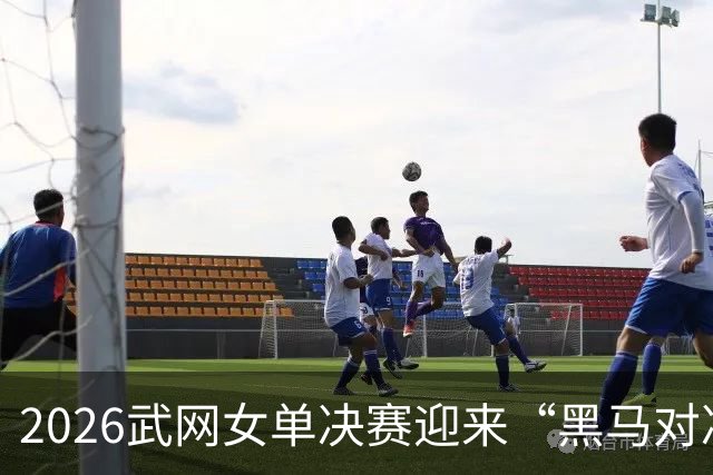 2026武网女单决赛迎来“黑马对决”，斯瓦泰克波兰德比落败，赫瓦林斯卡将与卡塔尔争冠