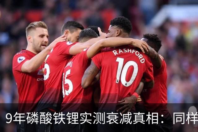 9年磷酸铁锂实测衰减真相：同样开9年，健康度差14%！车主必看