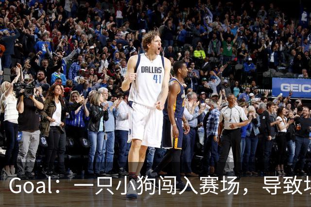 Goal：一只小狗闯入赛场，导致埃及联赛中断